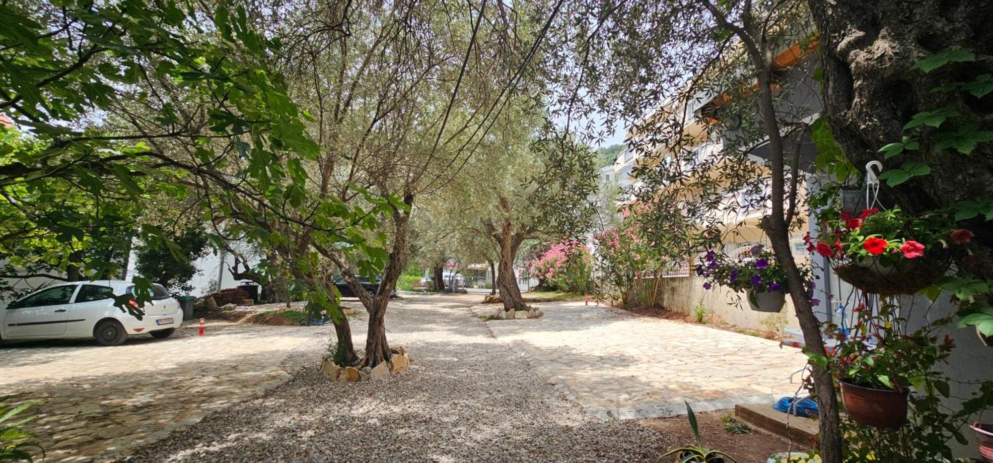 Medin Apartments Bluvista Petrovac Ngoại thất bức ảnh